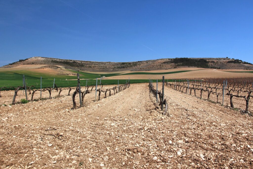 Talleres de la Ruta del vino de Ribera del Duero en el Parque Natural Hoces del Río Riaza