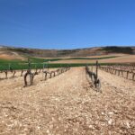 Talleres de la Ruta del vino de Ribera del Duero en el Parque Natural Hoces del Río Riaza