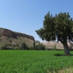 Talleres de la Ruta del vino de Ribera del Duero en el Parque Natural Hoces del Río Riaza