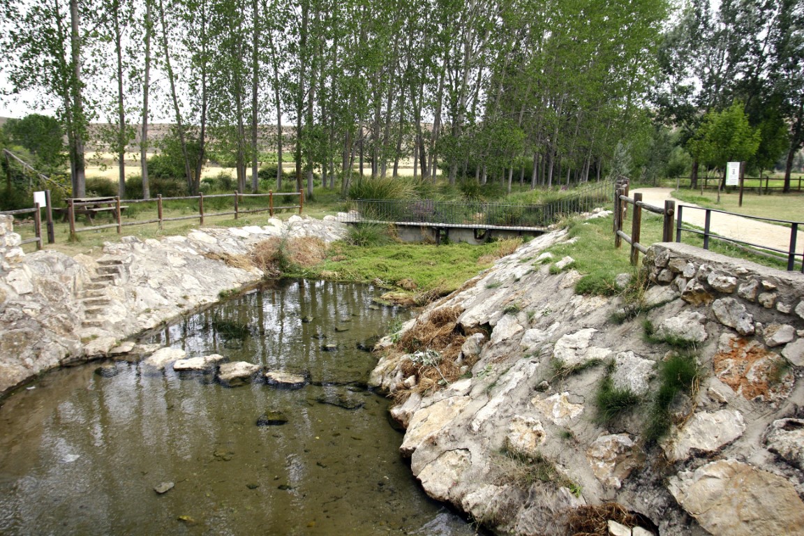 Tres talleres medioambientales para disfrutar de las Hoces del Río Riaza – Noticias y actualidad de Segovia
