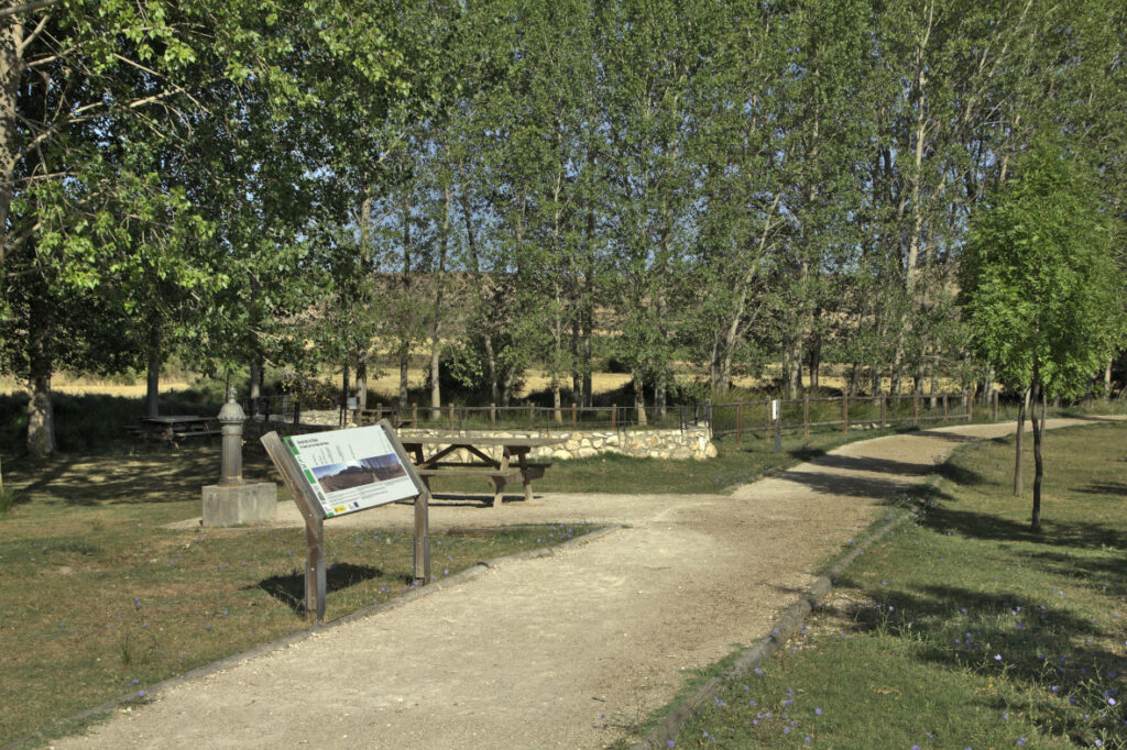 Talleres de la Ruta del vino de Ribera del Duero en el Parque Natural Hoces del Río Riaza