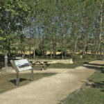 Talleres de la Ruta del vino de Ribera del Duero en el Parque Natural Hoces del Río Riaza