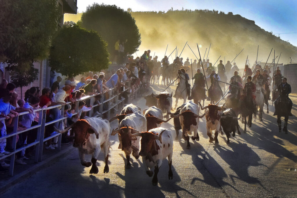 Ganadores Concurso Fotografía Fiestas de Cuéllar 2026 NP Ayuntamiento de Cuéllar