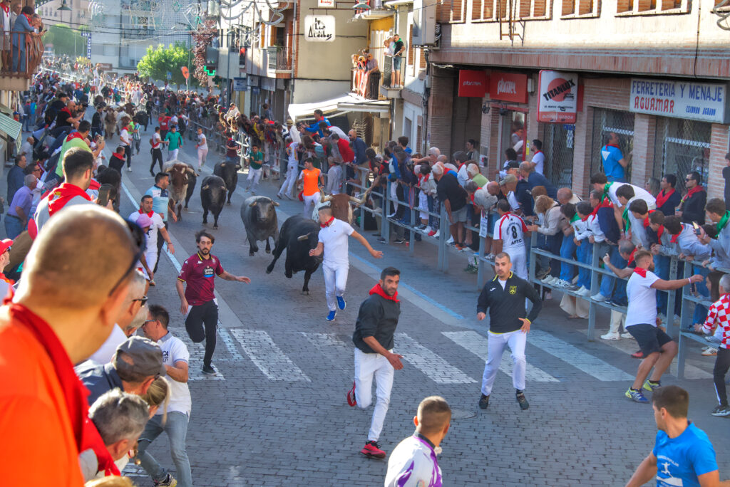 Ganadores Concurso Fotografía Fiestas de Cuéllar 2026 NP Ayuntamiento de Cuéllar