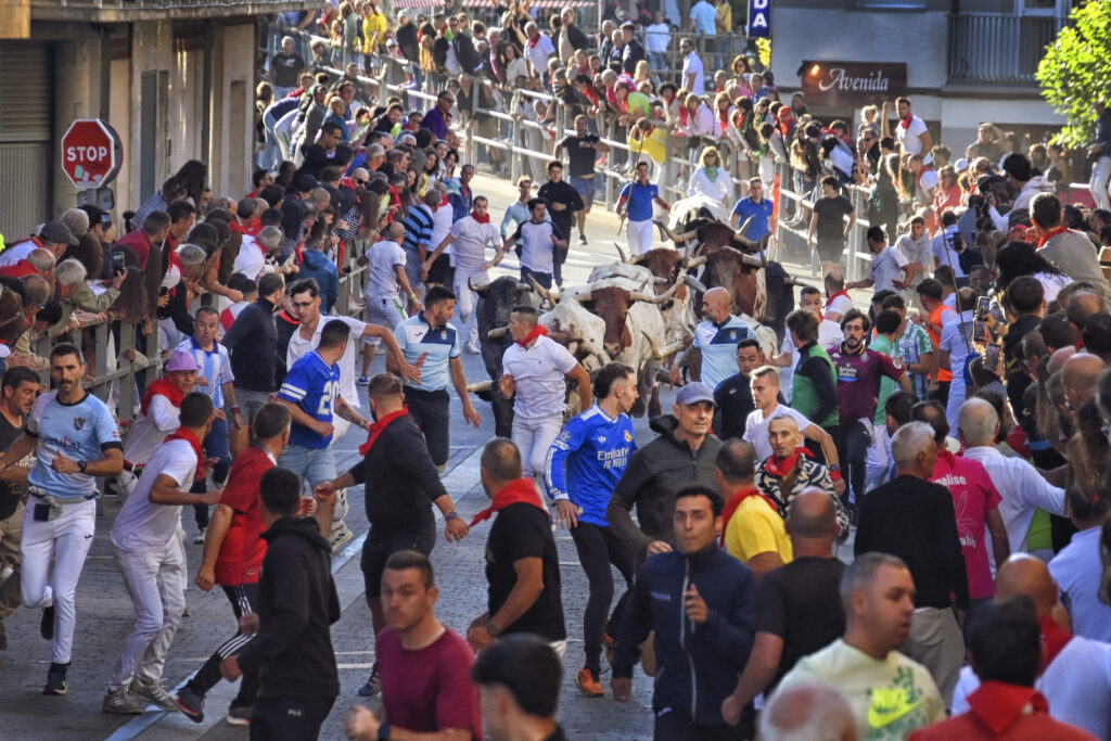 Ganadores Concurso Fotografía Fiestas de Cuéllar 2026 NP Ayuntamiento de Cuéllar