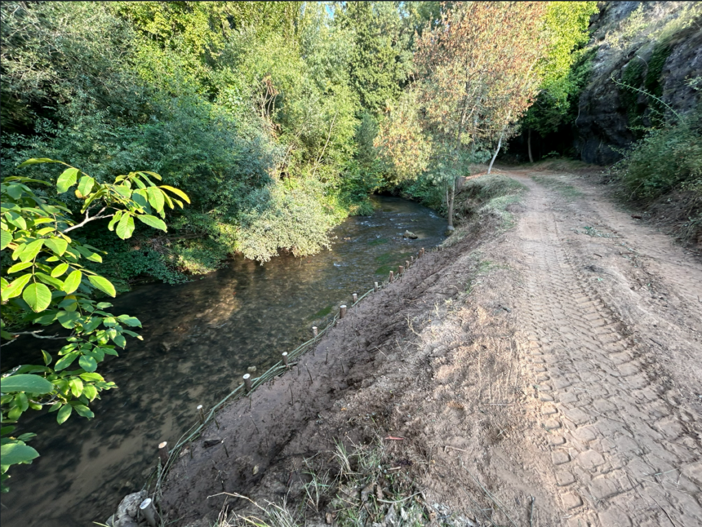 Adecuación entornos río Riaza y Duratón NP Diputación de Segovia