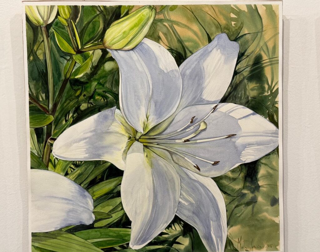 Exposición 'Art Botanicae' de Marta García Sanz en la Casa de la Lectura de Segovia